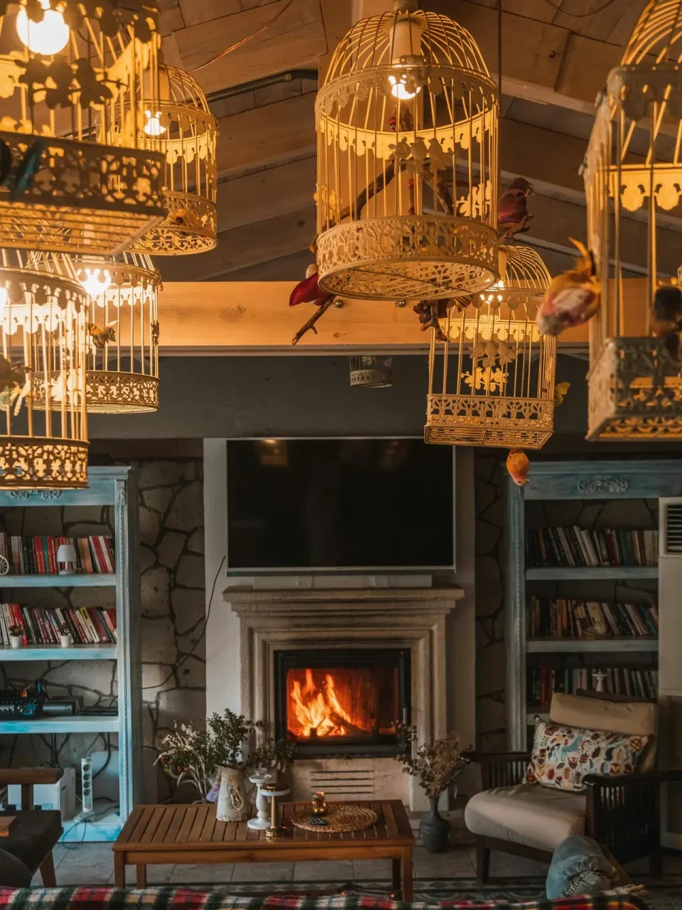 Warm living room setting with fireplace, bookshelves, and decorative cages.